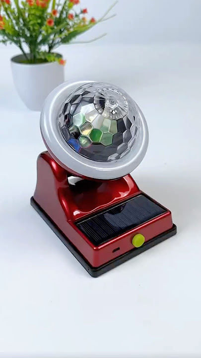 WhatsApp Image 2024-12-03 at 11.48.25